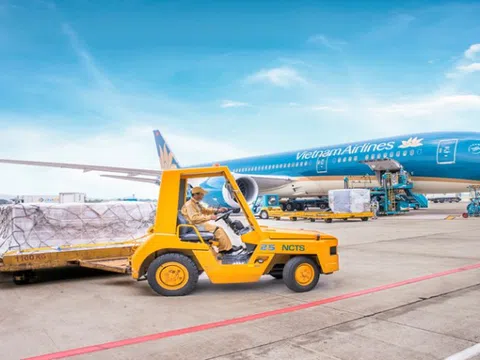 Dịch vụ hàng hóa Nội Bài (NCT): Điều chỉnh mục tiêu lợi nhuận năm 2025 tăng 22%, dự chi hơn 209 tỷ đồng trả cổ tức