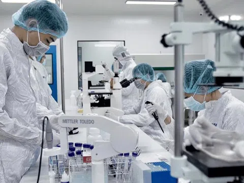 Đầu tư Y tế - Dược phẩm Việt Nam (JVC) thành lập công ty con có vốn điều lệ 250 tỷ đồng