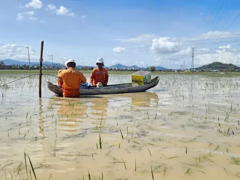 Hơn 553.000 khách hàng miền Trung - Tây Nguyên mất điện do mưa lũ