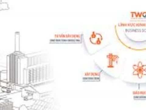 TWGroup và hệ sinh thái giáo dục nợ bảo hiểm xã hội lên tới gần chục tỷ đồng tại TP.HCM