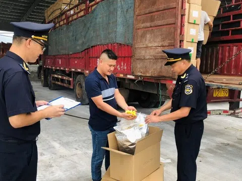 Chống buôn lậu vàng, hàng giả và ma túy trên các tuyến trọng điểm