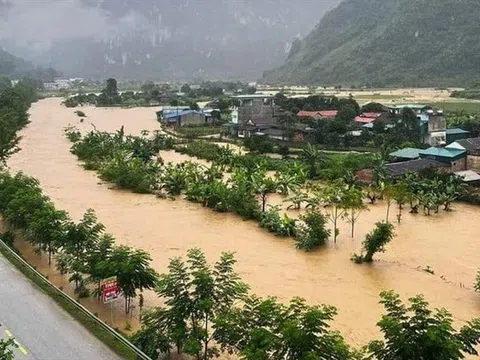 Hỗ trợ khẩn cấp 700 tỷ đồng cho 4 tỉnh khắc phục thiệt hại do mưa lũ