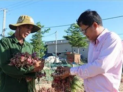 Vốn chính sách giúp người dân đảo tiền tiêu Lý Sơn thoát nghèo