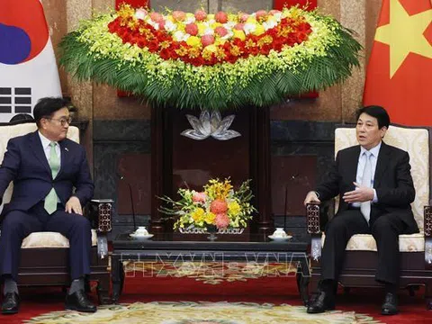 Chủ tịch nước Lương Cường: Việt Nam - Hàn Quốc thực sự trở thành đối tác quan trọng hàng đầu của nhau