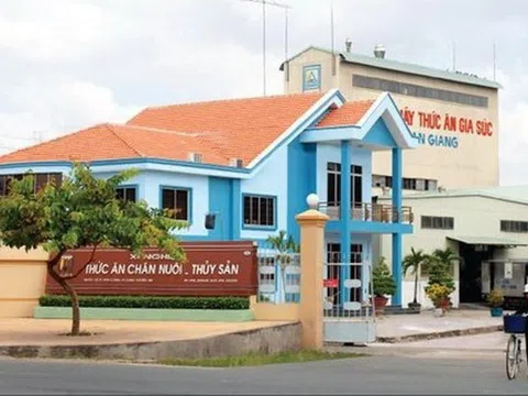 Thêm một cổ phiếu thủy sản chuẩn bị cập bến HoSE