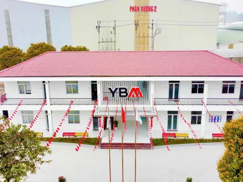 Khoáng sản Yên Bái (YBM) chốt quyền nhận cổ tức và mua cổ phiếu: Vốn điều lệ dự kiến tăng gấp 2,25 lần