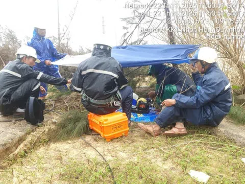 Ứng phó thiên tai trên diện rộng: Yêu cầu bảo đảm hạ tầng thông tin an toàn