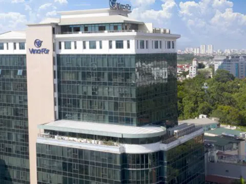 Vinafor (VIF) thu 58 tỷ đồng từ việc thoái vốn tại doanh nghiệp âm vốn chủ sở hữu, hé lộ quỹ đất đắc địa