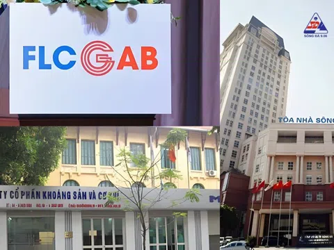 Không công bố thông tin, hàng loạt doanh nghiệp bị UBCKNN xử phạt