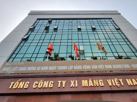 Vicem dồn dập thoái vốn hàng trăm tỷ đồng tại loạt đơn vị thành viên