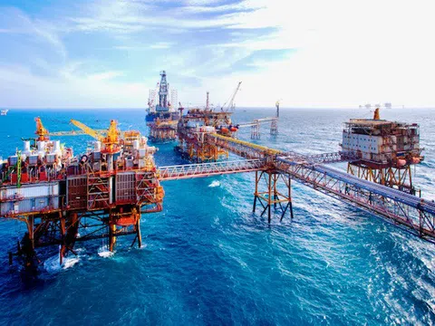 Vi phạm nghĩa vụ công bố thông tin, Xây lắp Dầu khí Việt Nam (PVX) bị phạt 202,5 triệu đồng