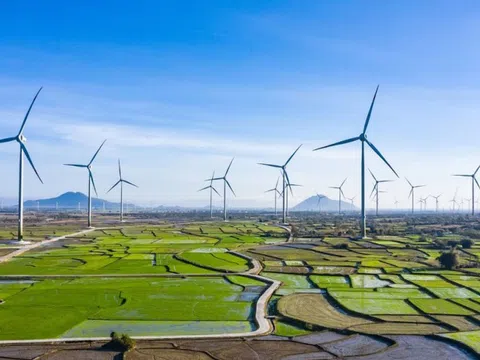 Gia Lai mời đầu tư dự án nhà máy điện gió hơn 48.300 tỷ đồng