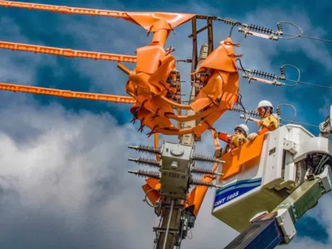 Bức tranh lợi nhuận ngành điện quý 3/2025: Thủy điện 'ngược dòng' ngoạn mục, nhiệt điện chật vật vì tỷ giá và giá bán