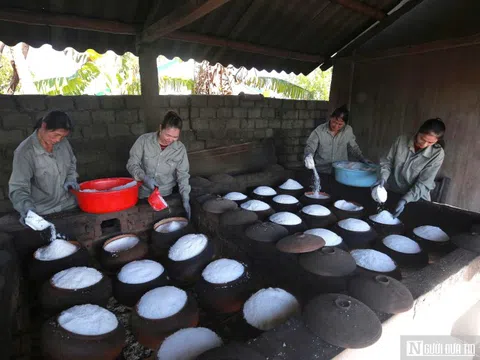 Diêm dân xứ Nghệ và khát vọng hồi sinh giá trị “vàng trắng” truyền thống