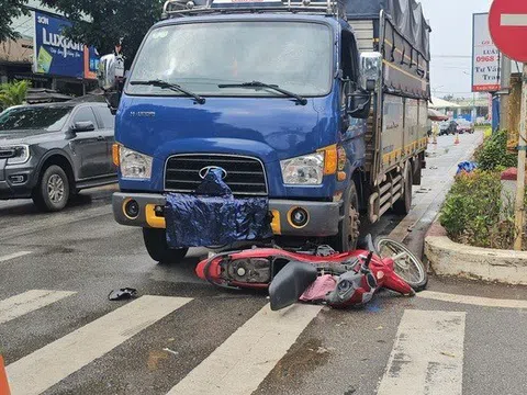 Vụ 2 ông cháu bị xe tải tông tử vong ở Gia Lai: Tạm giữ tài xế