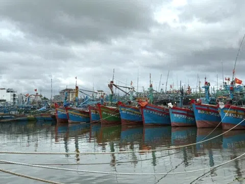 Gia Lai, Khánh Hòa: Khẩn trương triển khai các biện pháp cấp bách ứng phó bão số 15