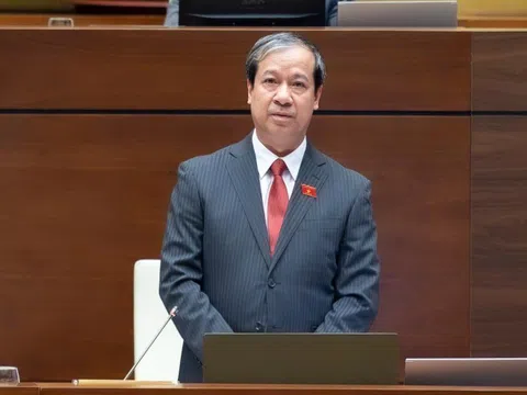 Nghiên cứu, xem xét kỹ lưỡng đối với mô hình đại học vùng