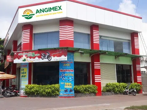 Angimex (AGM) bị phạt hành chính do vi phạm công bố thông tin, cổ phiếu chìm sâu trong diện hạn chế giao dịch