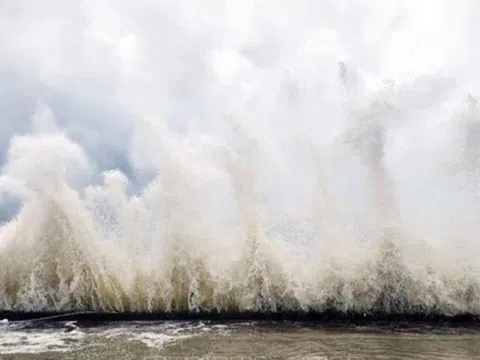 Bão số 15 Koto tiếp tục đi kiểu "nhúc nhích", hướng về nơi nào nước ta?