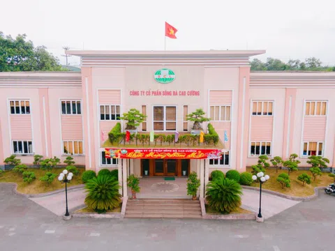 Sông Đà Cao Cường (SCL) bán thành công 97,5% lượng cổ phiếu chào bán, lãnh đạo gom nốt hàng dư để trả nợ BIDV