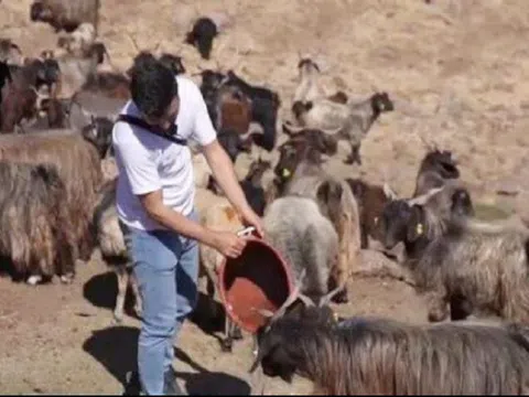 Nghề "hot" đi làm như đi chơi, lương trăm triệu/tháng vẫn thiếu người làm