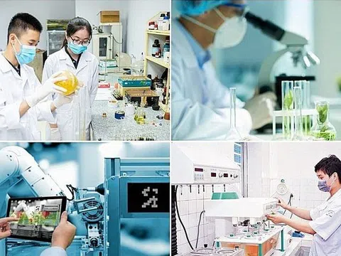 Tạo hành lang pháp lý thúc đẩy khoa học, đổi mới sáng tạo trong cơ sở giáo dục đại học