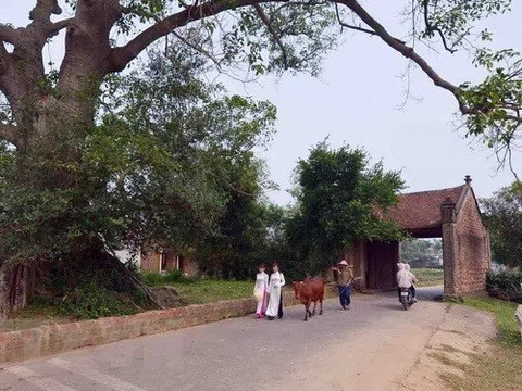 Làng Việt - Nơi lịch sử thở bằng đất