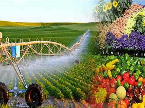 Sửa Luật Thuế GTGT: Khơi thông hoàn thuế, giảm áp lực vốn cho nông nghiệp và xuất khẩu