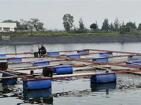 Tổng hợp nhu cầu giống, vật tư thủy sản để khôi phục sản xuất sau mưa lũ