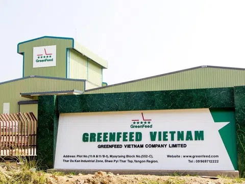 Chủ chuỗi G Kitchen GreenFeed Việt Nam: Lãi bán niên gấp 2,5 lần cùng kỳ, tổng nợ phải trả tăng hơn nghìn tỷ