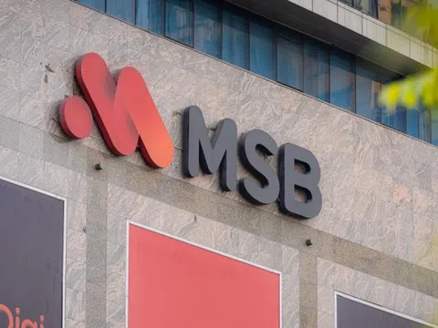 VNPT đưa gần 190 triệu cổ phiếu MSB lên sàn đấu giá với mức định giá cao gấp rưỡi thị trường