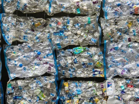 “Mỏ vàng” đến từ kinh tế tuần hoàn và phát triển bền vững