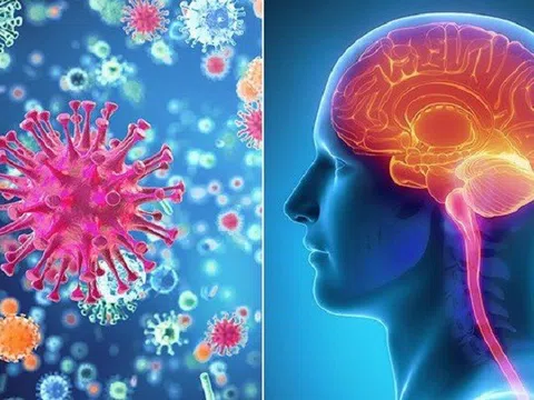 Bệnh não mô cầu nhóm B - mối đe dọa sức khỏe cộng đồng