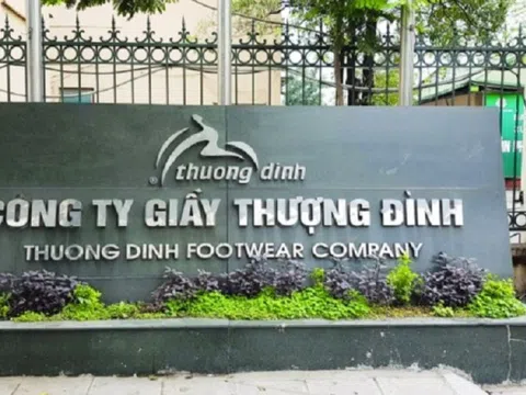 Giầy Thượng Đình nói gì khi cổ phiếu GTD tăng trần 11 phiên liên tiếp?