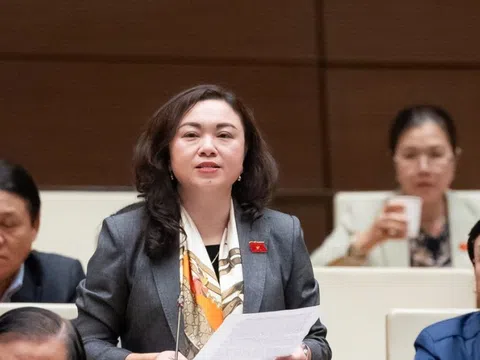 ĐBQH nêu lý do cần có thẩm phán toà chuyên biệt là người nước ngoài