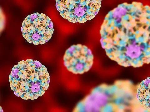 Bộ 3 bảo vệ khỏi HPV: Tiêm chủng, xét nghiệm tầm soát định kỳ và theo dõi kịp thời