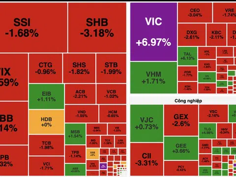 Cổ phiếu Vingroup tăng trần, thị trường chứng khoán “xanh vỏ đỏ lòng”