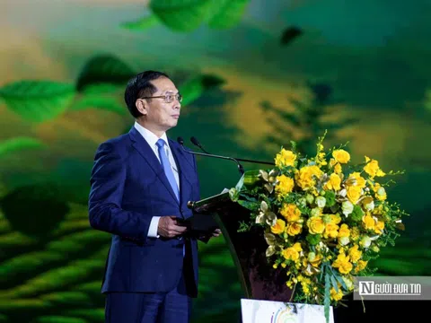 Phó Thủ tướng Bùi Thanh Sơn tham dự khai mạc Lễ hội Trà quốc tế 2025