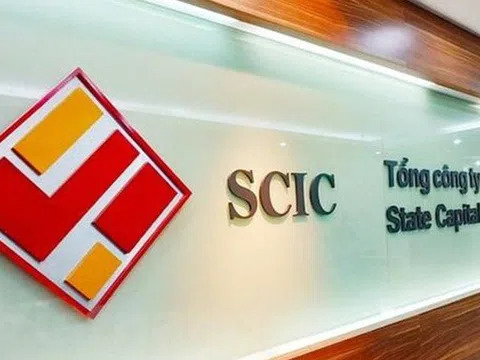 Thành viên SCIC chi tiền gom cổ phiếu FPT, hé lộ khoản tiền gửi 37.000 tỷ đồng sinh lời nghìn tỷ