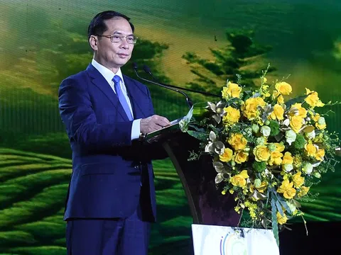 Khai mạc Lễ hội Trà quốc tế 2025