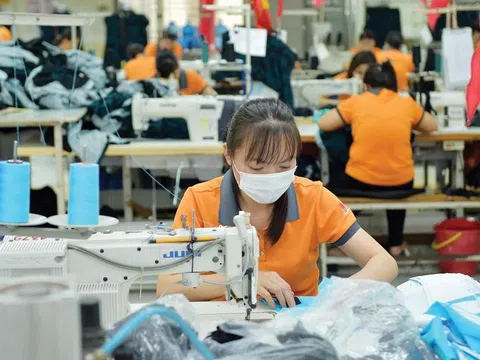 Có thêm hơn 15.000 doanh nghiệp thành lập mới trong tháng 11