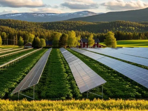 Nhà máy điện mặt trời nông nghiệp 46 MW: Bước ngoặt quan trọng cho quốc gia Bắc Âu