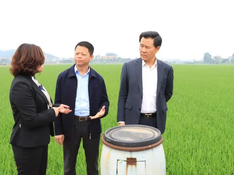 Mô hình chính quyền hai cấp: Tăng hiệu lực thực thi pháp luật môi trường từ thành phố đến cơ sở