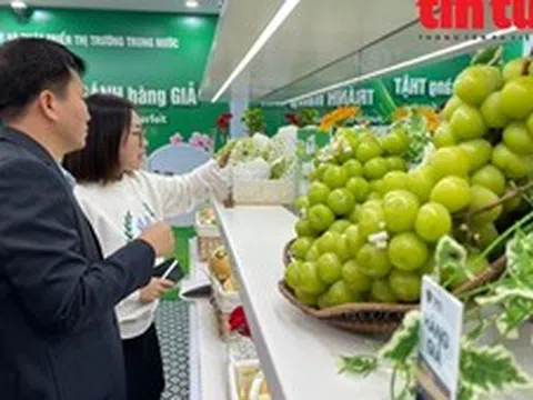 Khai mạc Phòng trưng bày nhân Ngày Phòng chống hàng giả, hàng nhái 