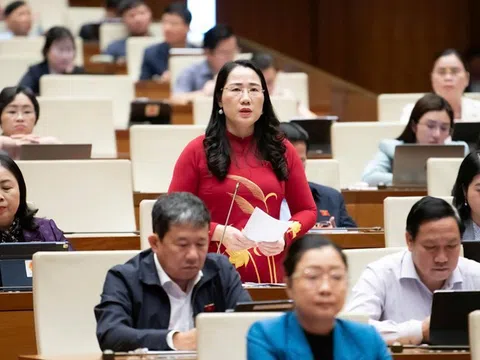 Đại biểu Quốc hội đề nghị tấn công mạnh tội phạm công nghệ cao, hàng giả, thực phẩm bẩn