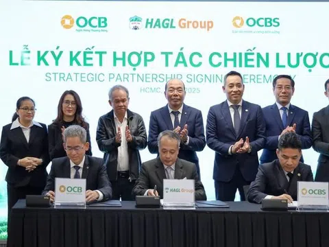 Hoàng Anh Gia Lai (HAG) quay lại sử dụng nhận diện thương hiệu truyền thống: Dòng vốn tín dụng dịch chuyển sang OCB