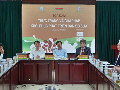 Nghịch lý ngành sữa: Chế biến bùng nổ nhưng quy mô lao dốc