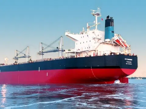 PVT Logistics (PDV) hoàn tất phát hành hơn 13 triệu cổ phiếu trả cổ tức, nâng vốn điều lệ lên 793 tỷ đồng