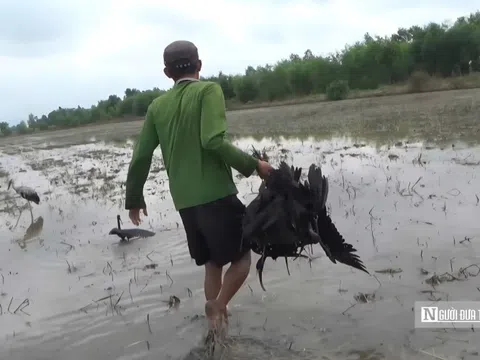 Tây Ninh mở chiến dịch truy quét những "bẫy ngầm" tận diệt động vật hoang dã