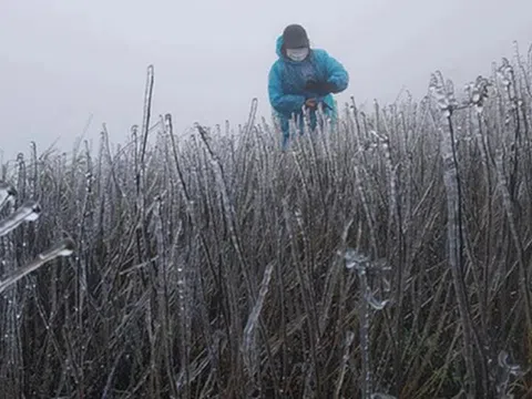 Dự báo thời tiết 11/12: Miền Bắc sắp đón không khí lạnh rất mạnh